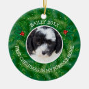 Search for bernedoodle christmas tree decorations Pet