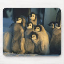 Search for cute chick mouse mats Animal
