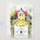 Search for colourful chicks invitations Chicken