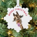Search for funny giraffe christmas cards Giraffes