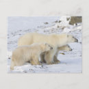 Search for rebecca postcards Winter