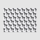Search for gypsy vanner horse Equestrian