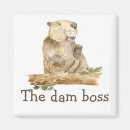 Search for dams magnets Beaver