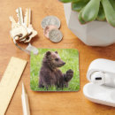 Search for grizzly cub key rings Animal wildlife