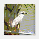 Search for heron magnets Wildlife