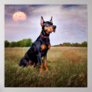 Search for doberman posters Pets