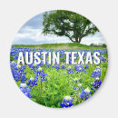 Search for bluebonnet magnets State flower