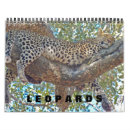 Search for leopard calendars Wildlife