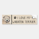 Search for coated bumper stickers Dog