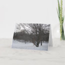 Search for photography new years cards White