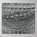 Search for black leather posters Crocodile