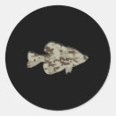 Search for crappy stickers Trout