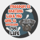 Search for pug quotes Pets