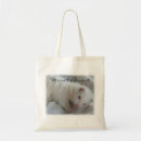 Search for ferrets accessories Cute