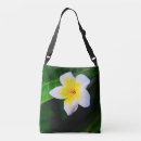 Search for plumerias bags Frangipani