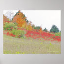 Search for red carpet posters Nature