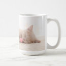 Search for british shorthair mugs Pet