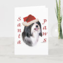 Search for havanese dog cards Breed