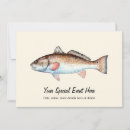 Search for redfish Red drum