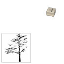 Search for pine tree rubber stamps Pines