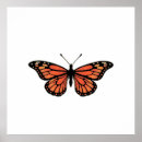 Search for monarch butterfly posters Insect