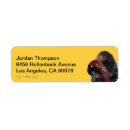 Search for top secret return address labels Fantastic beasts