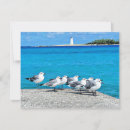 Search for bahama cards Caribbean
