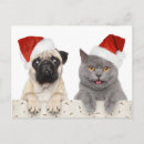 Search for grey dog cards Adorable