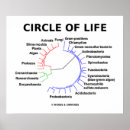 Search for circle of life posters Humour