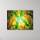 Search for microbiology art Genetic