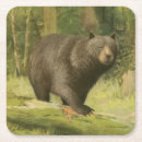 Search for wild animal coasters Nature