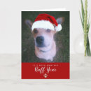 Search for funny pet christmas cards Red