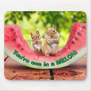 Search for chipmunks electronics Funny