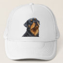 Search for rottweiler hats Cute