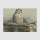 Search for owl tissue paper Craft