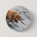 Search for red brown badges Bear