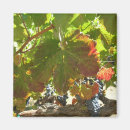 Search for vines magnets Leaves
