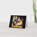 Search for exotic pets cards Kitten