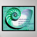 Search for nautilus seashell posters Nautical