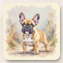 Search for fawn coasters French bulldog