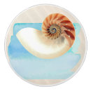 Search for seashells knobs and pulls Nature