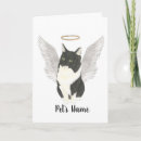 Search for cat sympathy cards Bereavement