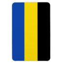 Search for regional magnets Flag