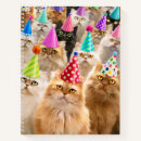 Search for avanti notebooks Celebration