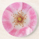 Search for bushes barware Bloom