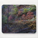 Search for sedona electronics Autumn