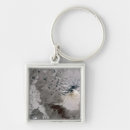 Search for ash plumes key rings Photography