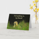 Search for wildlife get well cards Bird