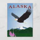 Search for alaska eagle postcards Travel