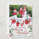 Search for birch christmas cards Modern